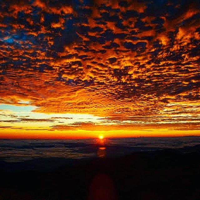 Sleep Relaxed Meditation Harmonious Therapy, Yoga Recover and Heal Your Body
