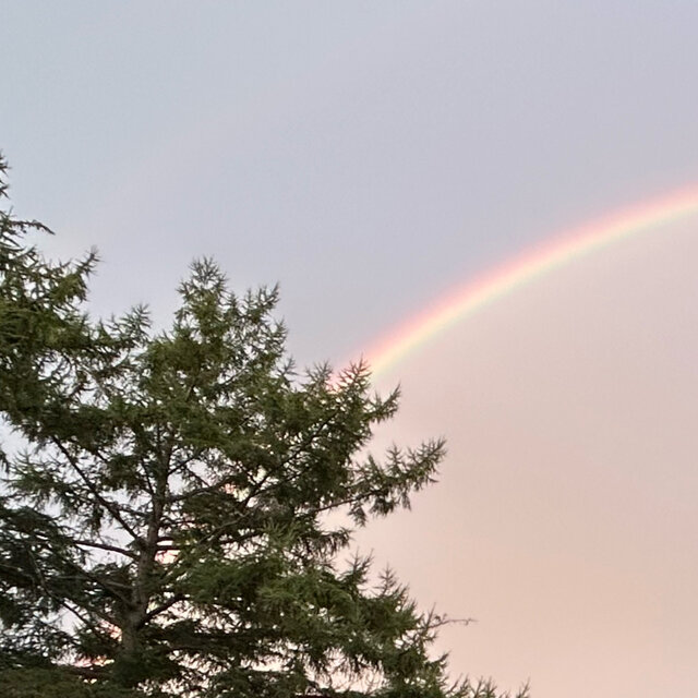 End of the Rainbow
