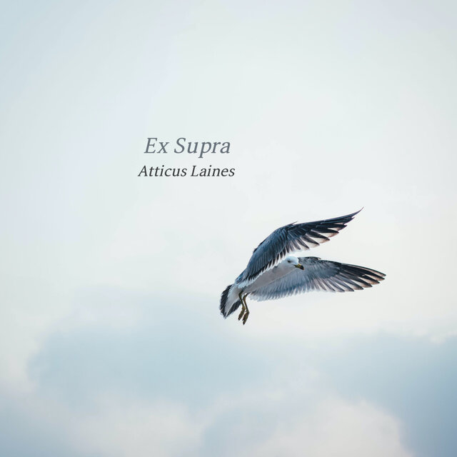Ex Supra