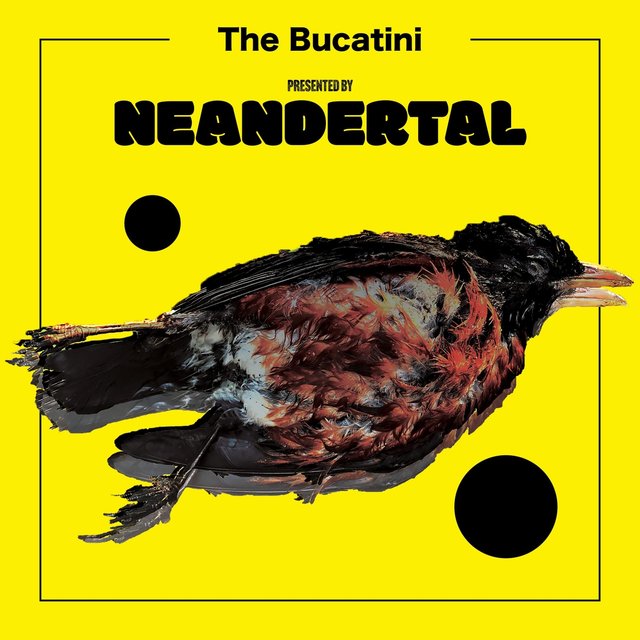 The Bucatini