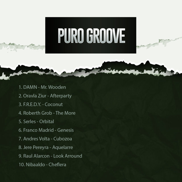 PURO GROOVE SELECTION 024