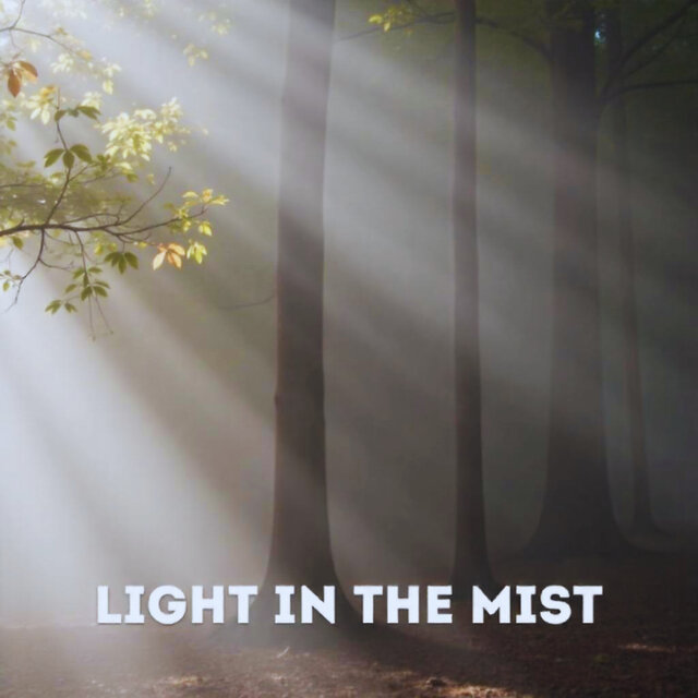 Light in the Mist