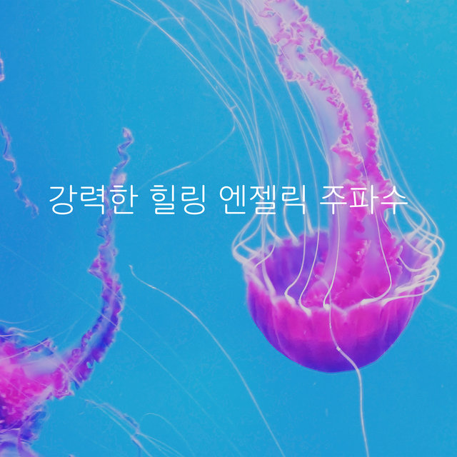 강력한 힐링 엔젤릭 주파수