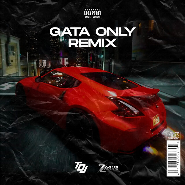 Gata Only (Remix)