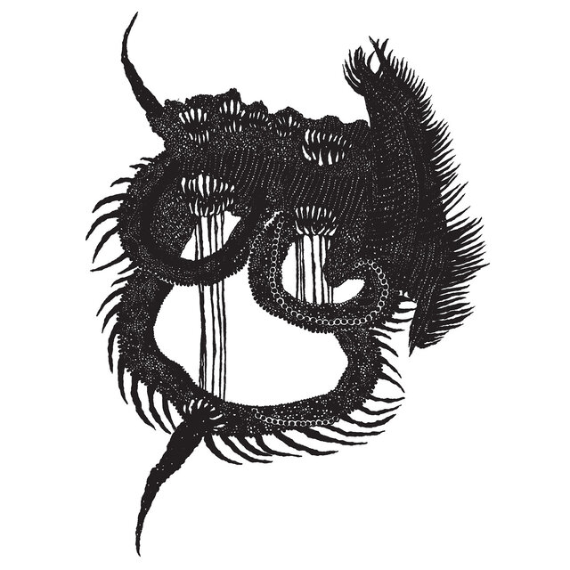 Cover art for album Stomach Earth by Stomach Earth