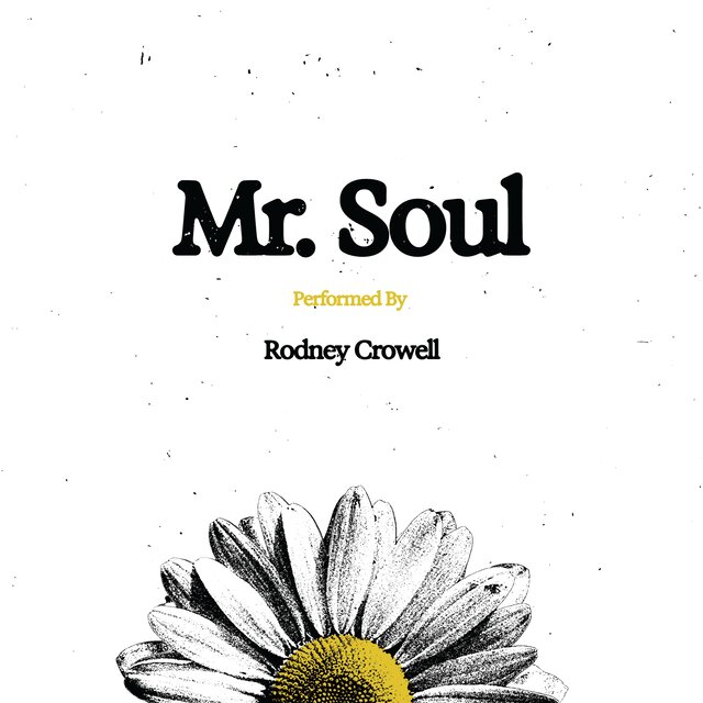 Mr. Soul