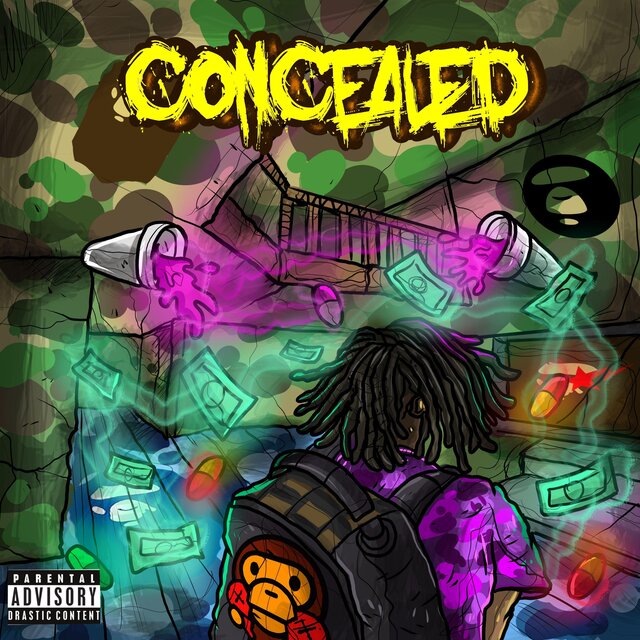 CONCEALED