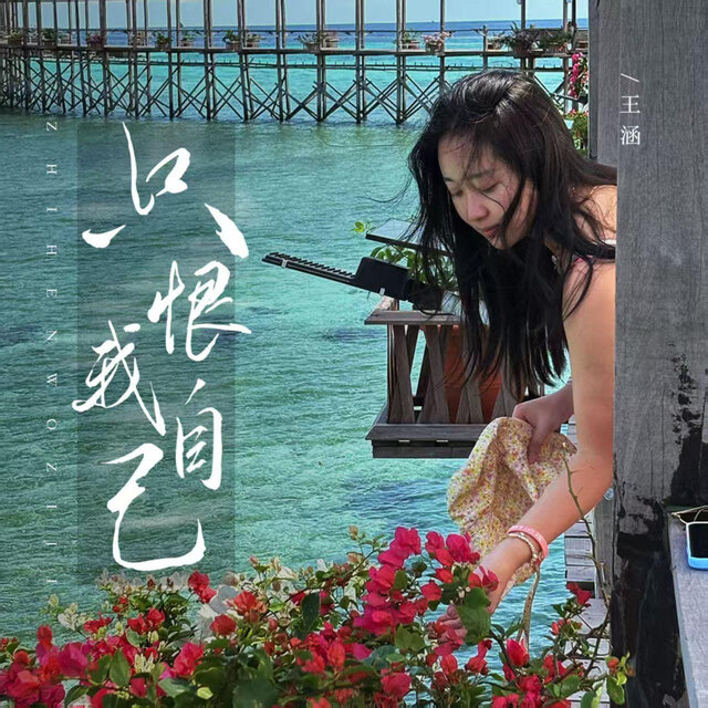 只恨我自己