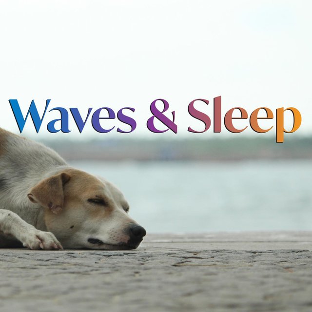 Waves & Sleep