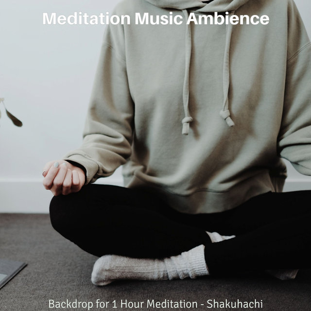 Backdrop for 1 Hour Meditation - Shakuhachi