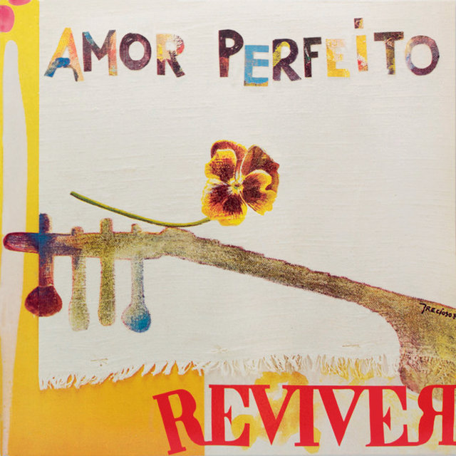 Amor Perfeito