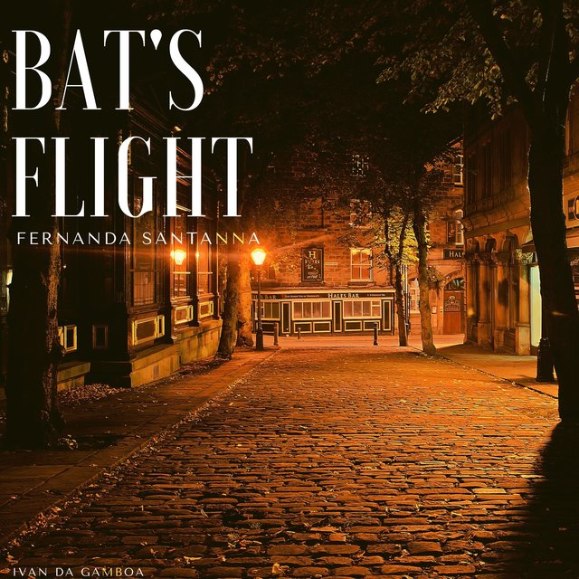 Bat's Flight
