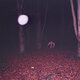 Cover art for album Skinwalker by Buzzard Buzzard Buzzard