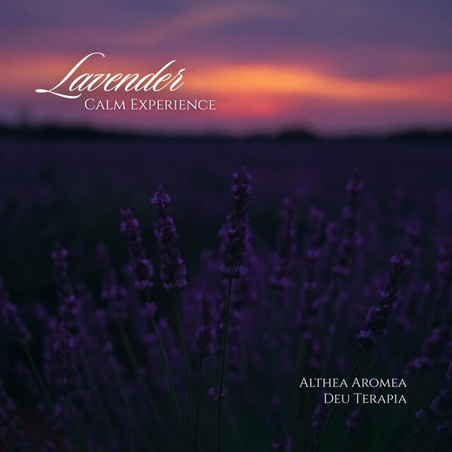 Lavender Calm Experience