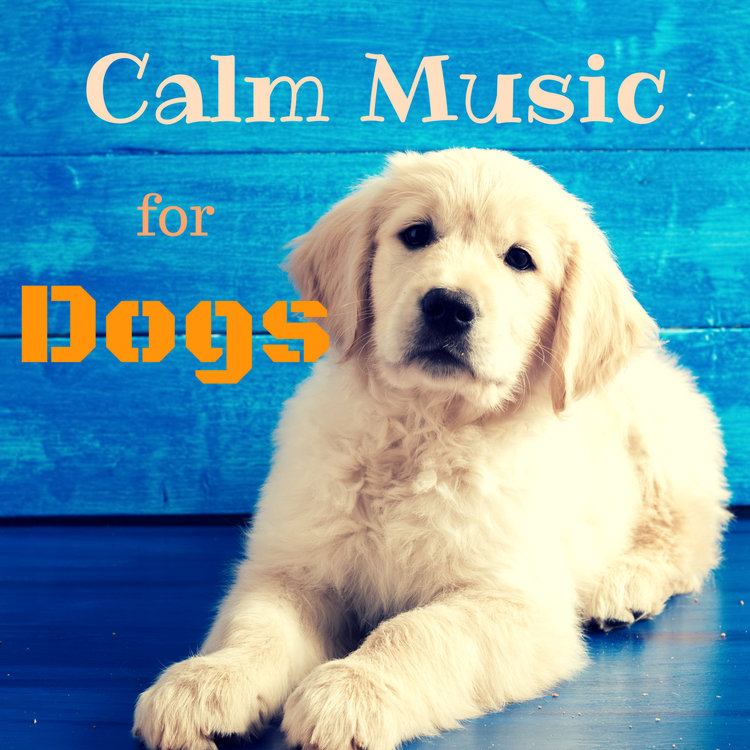 music for dogs ears