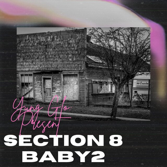 Section8 Baby 2