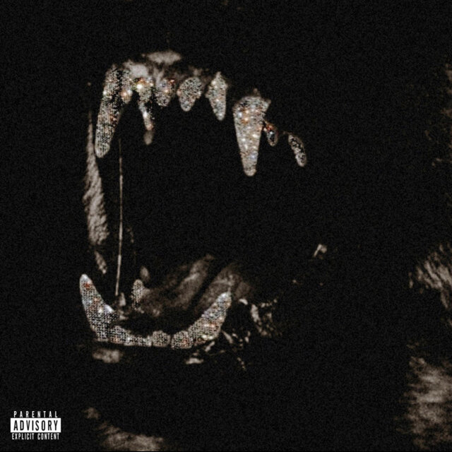 MIDNIGHT AMBITIONS EP