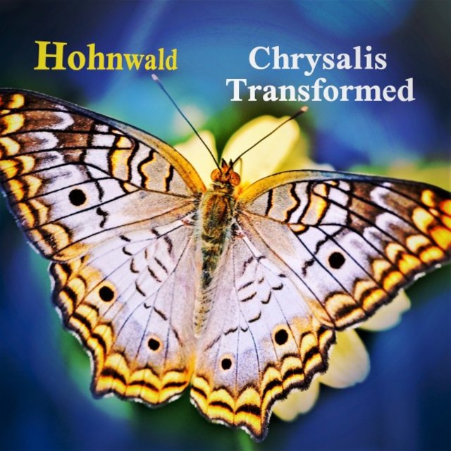 Chrysalis Transformed