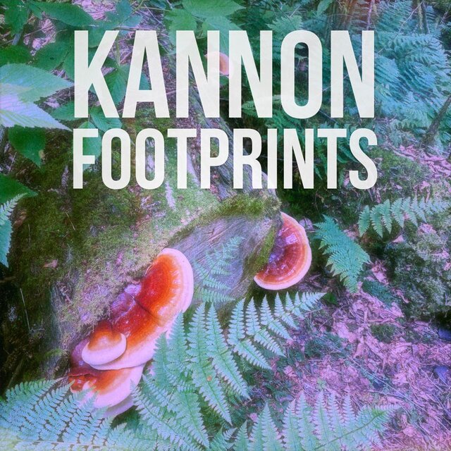 Footprints