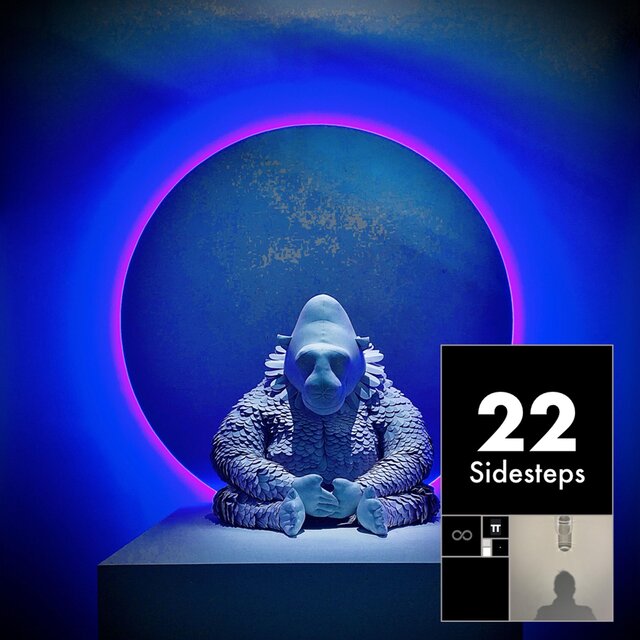 22 Sidesteps