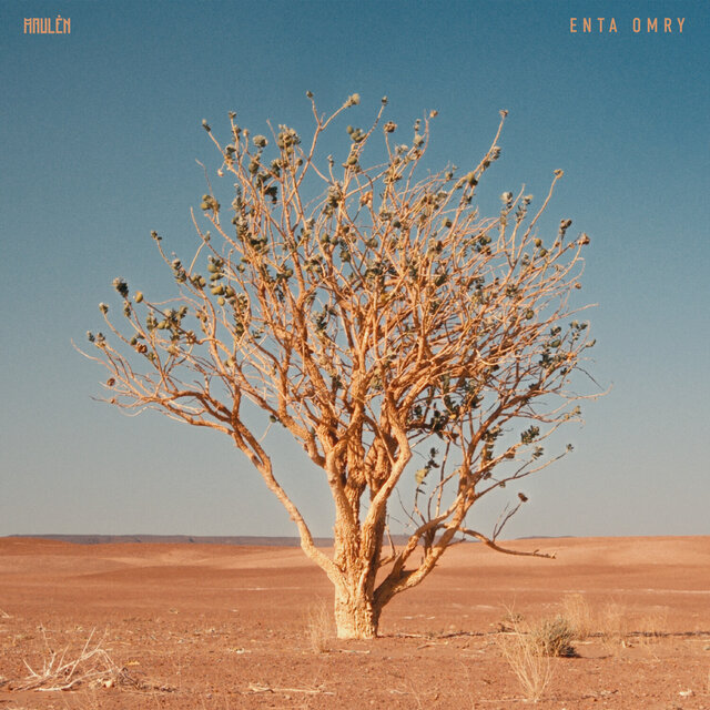 Cover art for album Enta Omry by Maulén