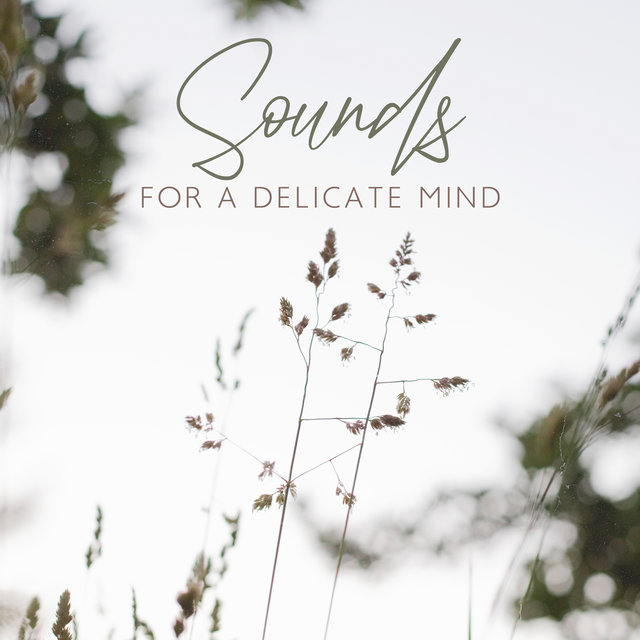 Sounds For A Delicate Mind