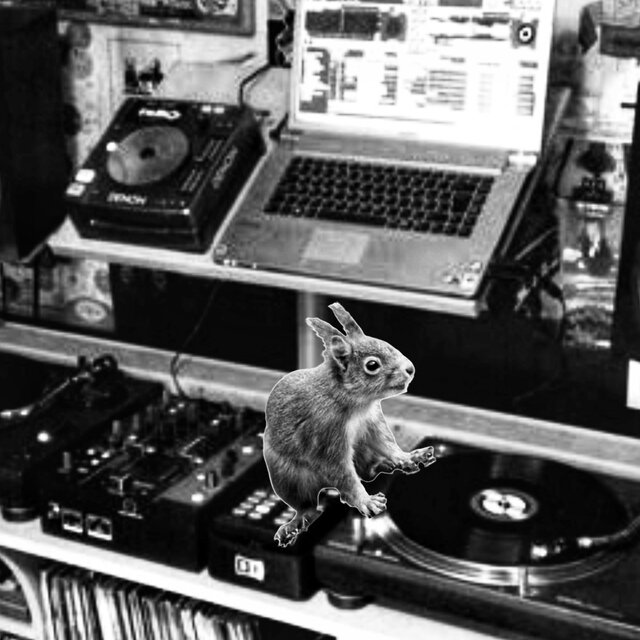 The life of a squirrel