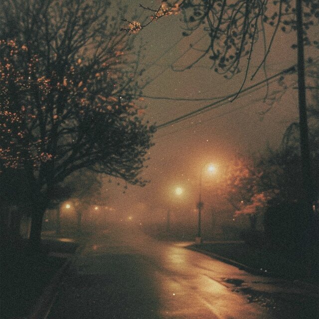 night walk