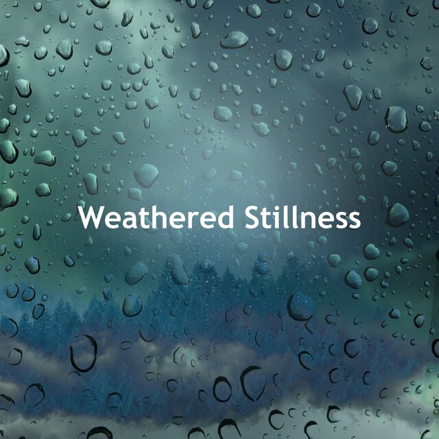 Weathered Stillness