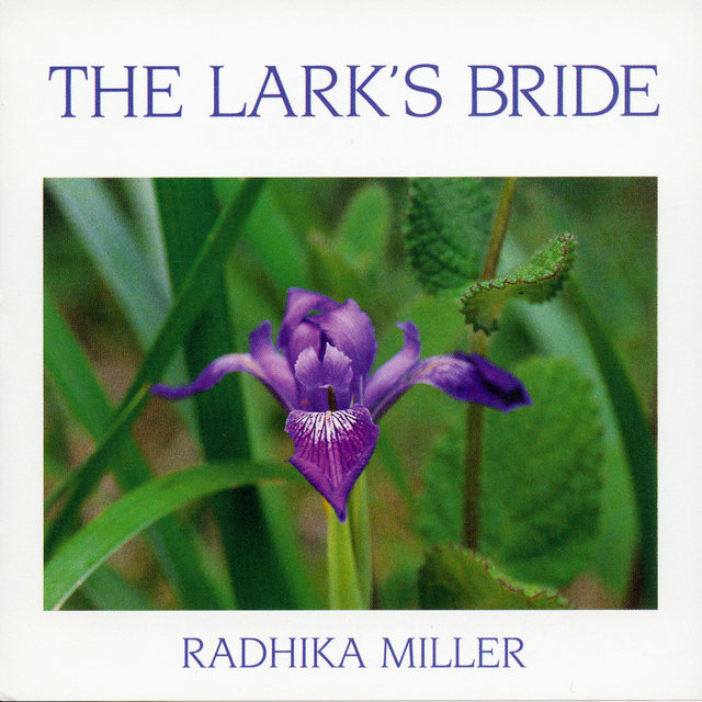 The Lark's Bride