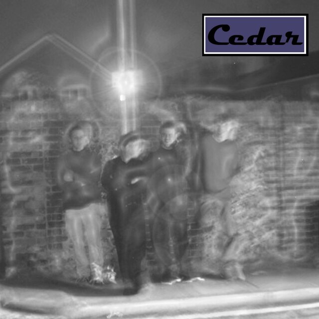 Cedar