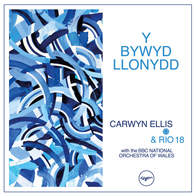 Y Bywyd Llonydd