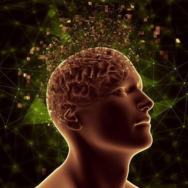 Open Mind and Boost Your Brain