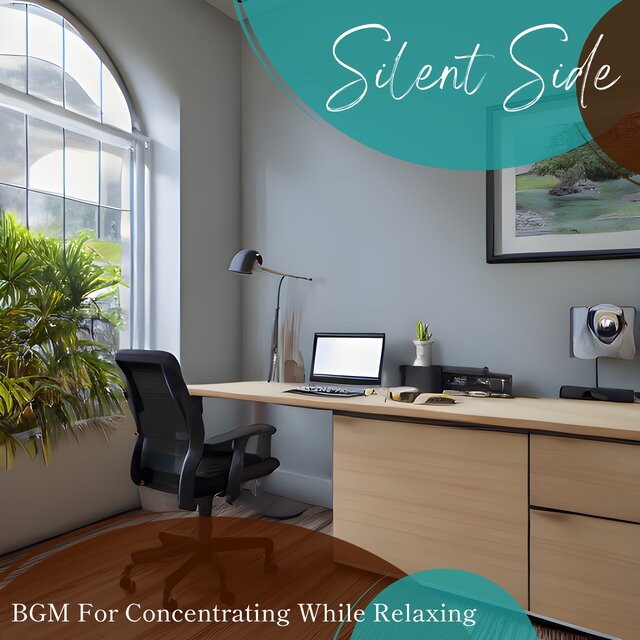 Bgm for Concentrating While Relaxing