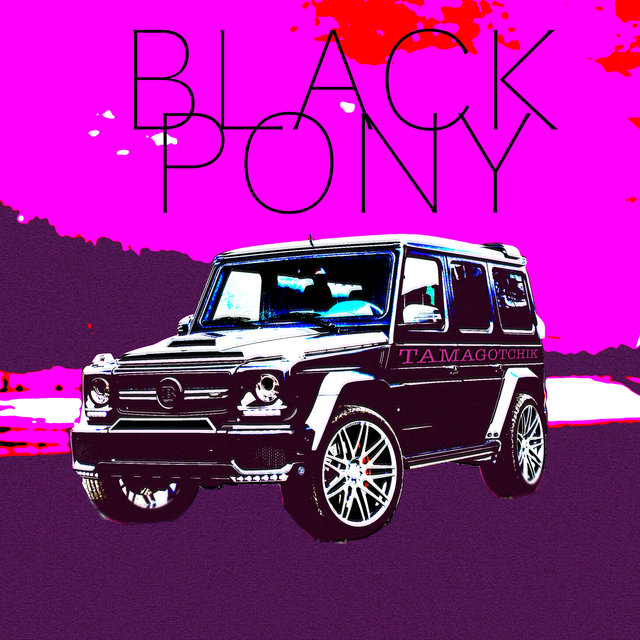 Black Pony