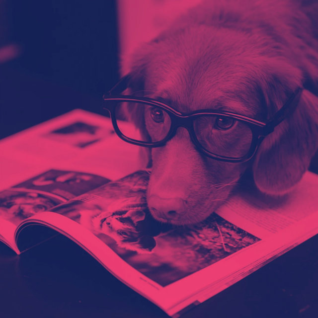 Dog Anxiety (Music)